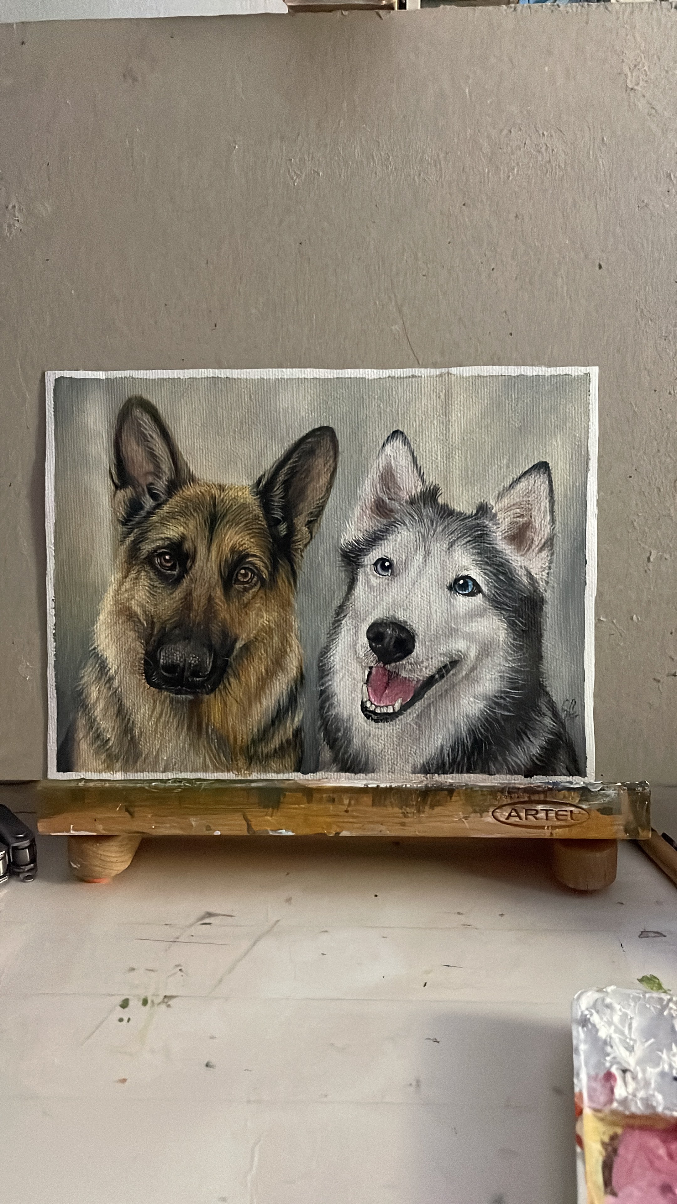 Retratos de mascotas en tela