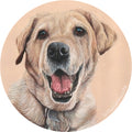Retratos de mascotas en bastidor entelado redondo